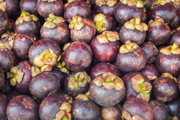 Mangosteen