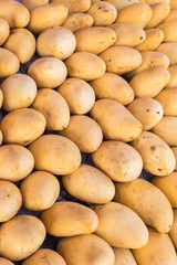 Yellow mango in market, Thailand