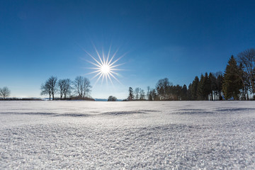 Winter im Schwarzwald