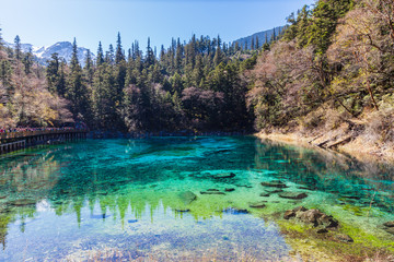 Beautiful pond in Jiuzhaigou national park