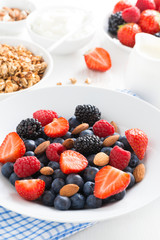 breakfast with fresh berries, vertical, close-up