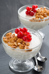 creamy panna cotta with granola and red currants, close-up