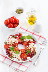 Italian salad with cherry tomatoes, cottage cheese, mint pesto