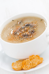 mushroom cream soup with croutons on white wooden table, closeup