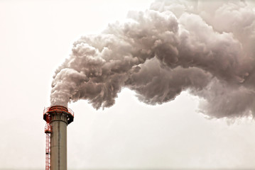 Grey smoking industrial chimney - obrazy, fototapety, plakaty