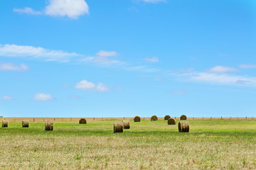 Australian rural field landscape with haystacks and blue sky