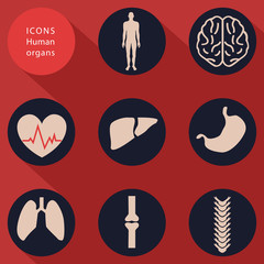 Medical icons, human bodies, flat design, vector