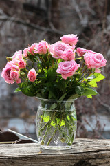 Pink roses in a vase