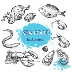 hand drawn seafood
