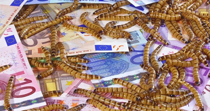 Big ugly worms crawling over euro banknotes background, economic