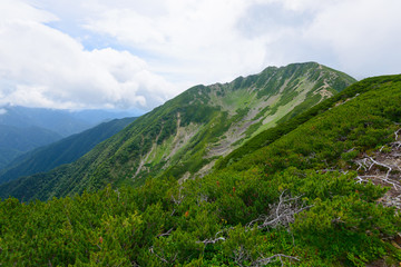 Fototapeta na wymiar Mt.Senjo in the Southern Japan Alps, Nagano and Yamanashi, Japan