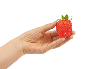 Woman hand holding strawberry. Isolated on white