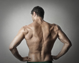 Obraz premium Muscular back