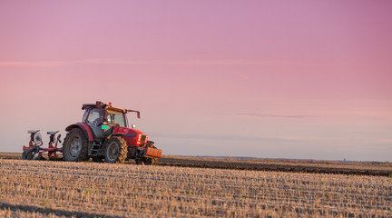 Fototapeta premium Farmer plowing field at sunset