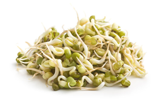 Sprouted Mung Beans