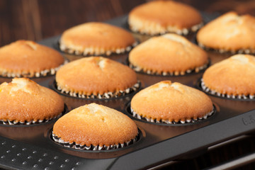 Plain Cupcakes In Baking Tray