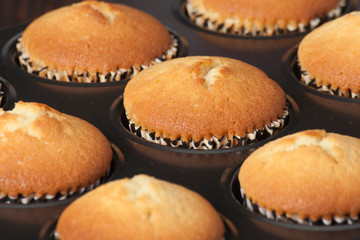 Plain Cupcakes In Baking Tray