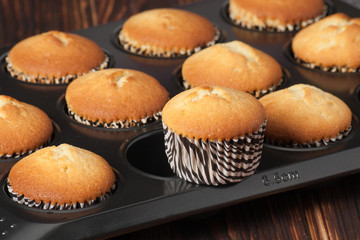 Plain Cupcakes In Baking Tray