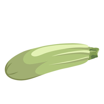 Illustration of vegetable marrow.