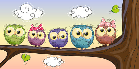 Five Owls