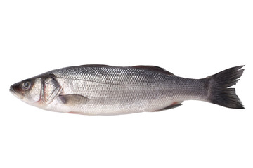 Fresh seabass
