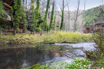 Cañón del Rio Gallo. Guadalajara. España