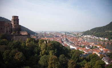 Fototapeta na wymiar Blick über Heidelberg