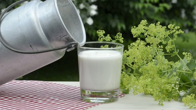 Glas Milch mit Milchkanne