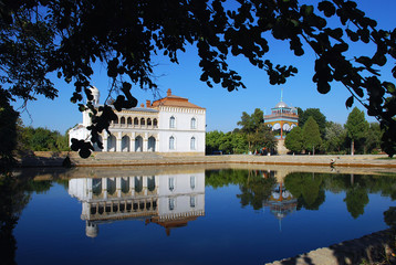Белый дворец Ситораи Мохи-Хоса на берегу с деревом - obrazy, fototapety, plakaty