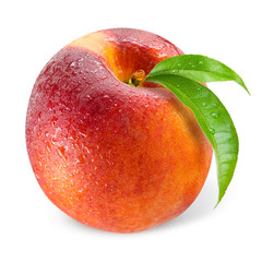 Peach. Wet fruit with leaf isolated on white