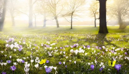 Tuinposter abstracte zonnige mooie lente achtergrond © Konstiantyn