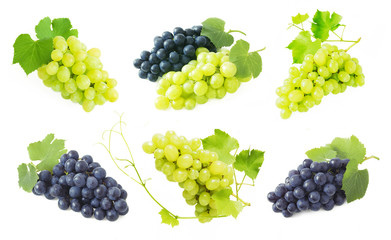 Grapes branch set isolated on white background