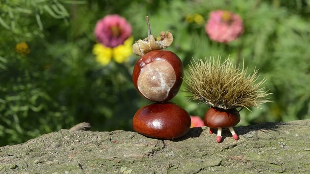 Kastanienfiguren auf Baumstamm