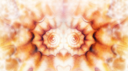 Marine sea shell illustration orange color paintings, mandale ef
