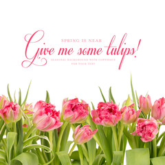 Frühlingshintergrund mit Tulpen