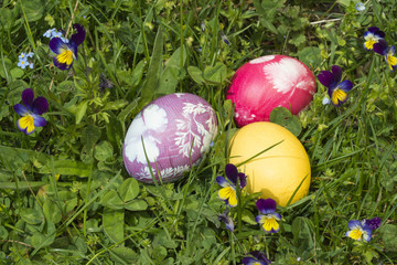 Ostereier im Gras 1