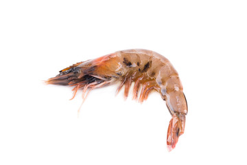 Fresh tiger shrimp