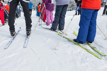 Cross-Country Ski © CorinaDanielaObertas