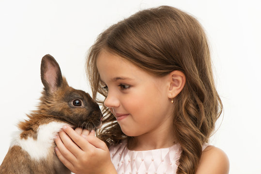 Little girl looking at cute brown bunny