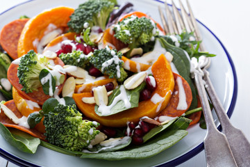 Salad with vegetables, pepperoni and pomergranate