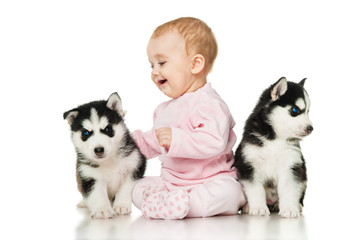 Little girl with two puppies husky