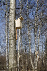 Birdhouse on tree