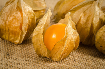 Cape gooseberry