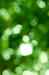 Obraz premium Abstract nature blur