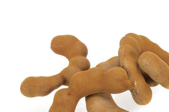 Tamarind