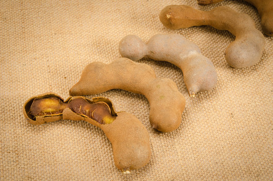 Tamarind