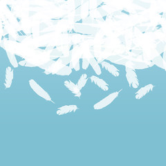 Feather vector background concept