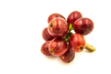 Fresh ripe red coffee beans on a white background.