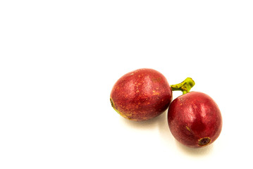 Fresh ripe red coffee beans on a white background.