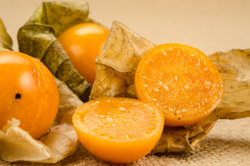 Cape gooseberry
